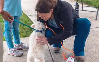 Bryan Animal Center employee crouching to assess a small dog presented by the owner on a leash